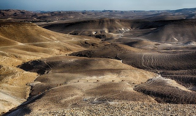 Dead Sea area