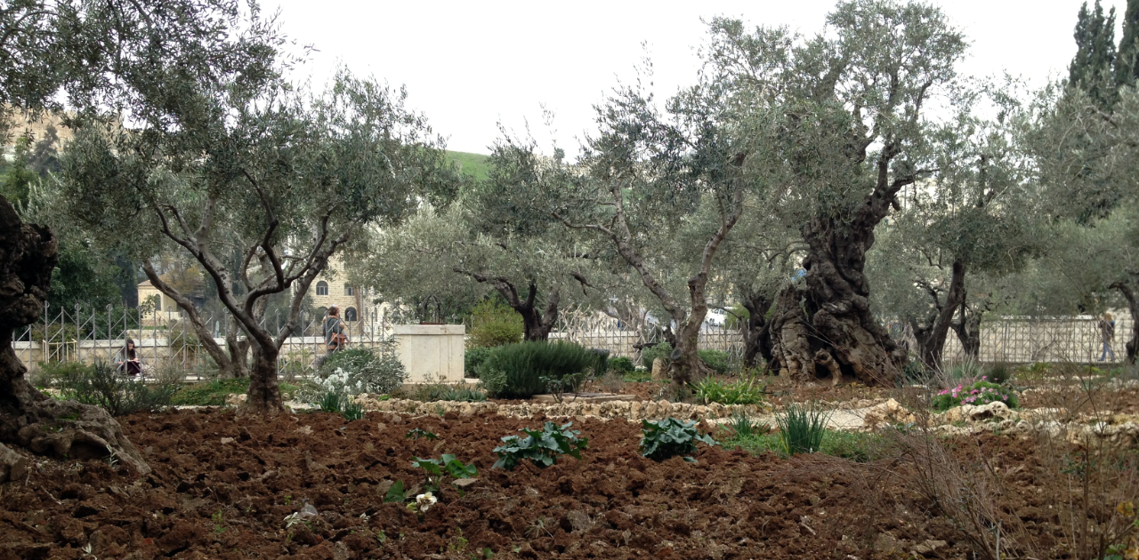 Garden of Gethsemane